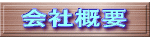 ��ЊT�v 